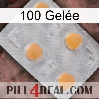 100 Gelée 24